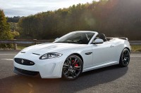 /album/fotogaleria-inicio1/img-3075-jpg/